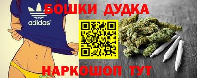 МДПВ Ливны