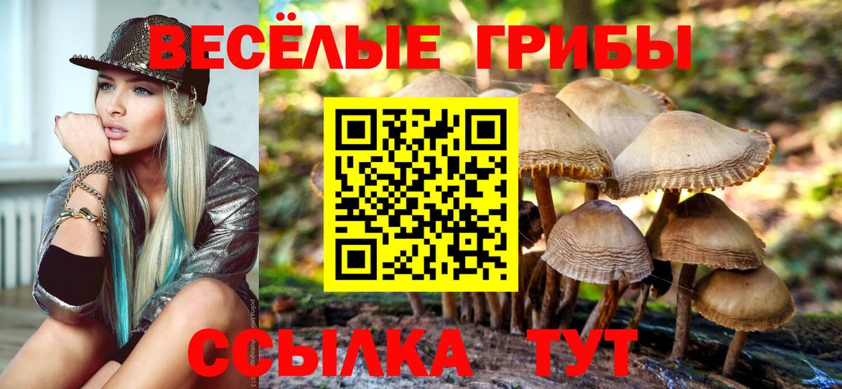 Галлюциногенные грибы Psilocybine cubensis Вичуга