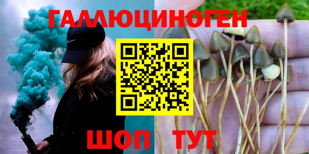 Псилоцибиновые грибы прущие грибы  Псилоцибиновые грибы мухоморы  Вход с VPN  Вичуга 