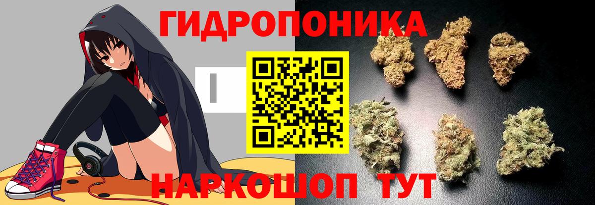 Конопля SATIVA & INDICA  Вход с VPN  Марихуана индика  Бошки марихуана OG Kush  Каннабис Bruce Banner  Вичуга 